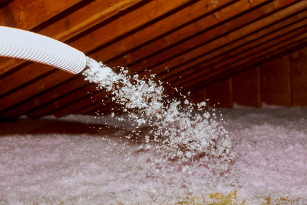 Best Attic Insulation Installation  in Piney, AR