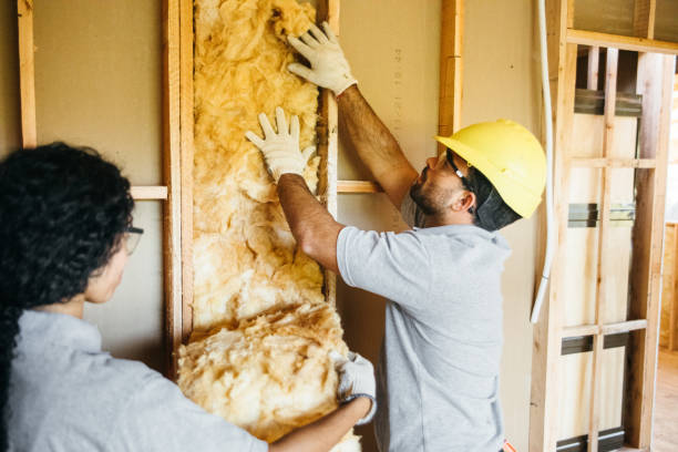 Best Eco-Friendly or Green Insulation Solutions  in Piney, AR