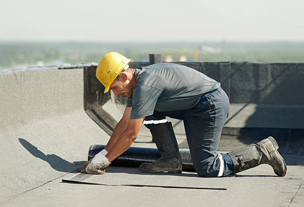 Best Attic Insulation Installation  in Piney, AR